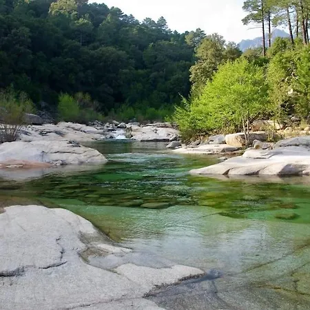 Apartment Fiori Di Cala Rossa T3 Dans Hotelliere Chez Virginie *
