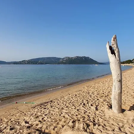 Fiori Di Cala Rossa T3 Dans Hotelliere Chez Virginie