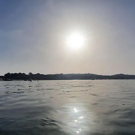 Fiori Di Cala Rossa T3 Dans Hotelliere Chez Virginie