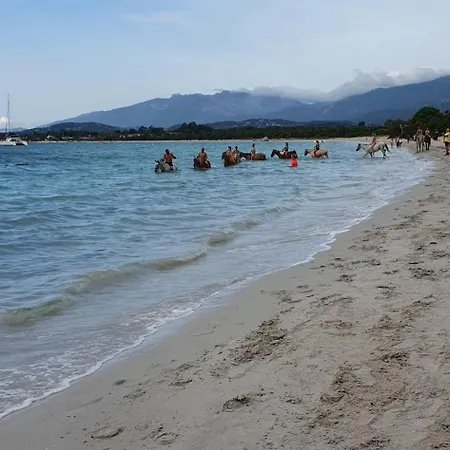 Fiori Di Cala Rossa T3 Dans Résidence Hôtellière Chez Virginie Appartement