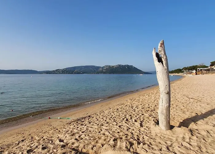 Fiori Di Cala Rossa T3 Dans Hotelliere Chez Virginie