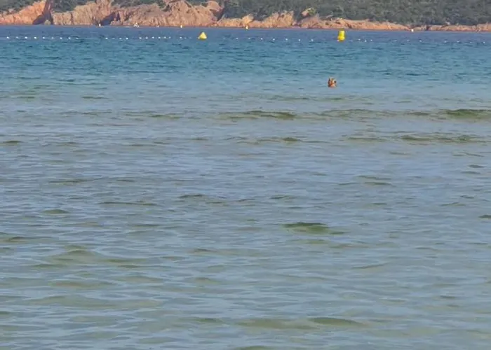 Fiori Di Cala Rossa T3 Dans Hotelliere Chez Virginie * Lecci