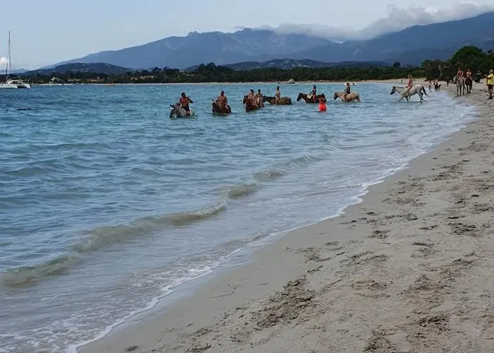 Fiori Di Cala Rossa T3 Dans Hotelliere Chez Virginie Apartmán